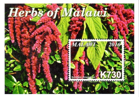 Colnect-4513-727-Herbs-of-Malawi.jpg