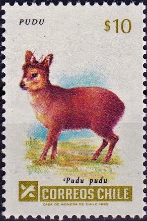 Colnect-4704-360-Southern-Pudu-Pudu-pudu.jpg