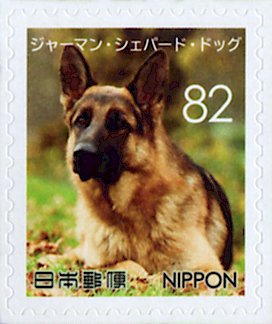 Colnect-5284-655-German-Shepherd-Canis-lupus-familiaris.jpg