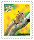 Colnect-3816-902-Chipmunk-Tamias-sp.jpg