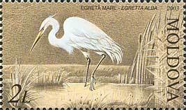 Colnect-800-288-Great-White-Egret-Ardea-alba.jpg