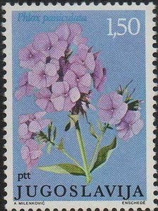 Colnect-505-427-Phlox-Paniculata.jpg