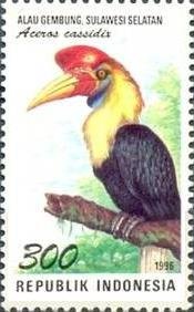 Colnect-1142-323-Knobbed-Hornbill-Aceros-cassidis.jpg