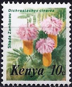 Colnect-3225-396-Dichrostachys-cinerea.jpg