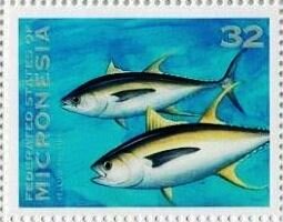 Colnect-5576-599-Thunnus-albacares.jpg