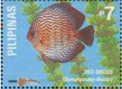 Colnect-2959-144-Blue-Discus-Symphysodon-aequifasciata-ssp-discus.jpg