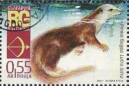 Colnect-1839-849-Eurasian-Otter-Lutra-lutra.jpg