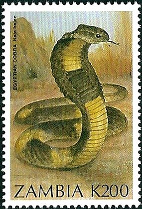 Colnect-2645-759-Egyptian-Cobra-Naja-hajae.jpg