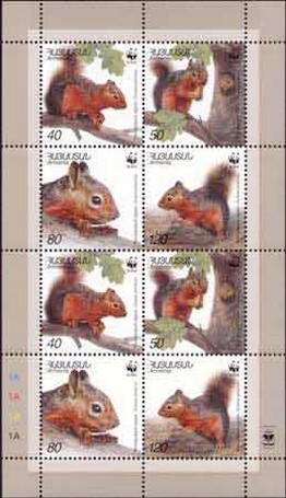 Colnect-723-873-Mini-Sheet-Persian-Squirrel-Sciurus-persicus.jpg