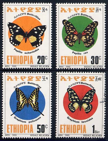 Skap-ethiopia_06_bfly.jpg