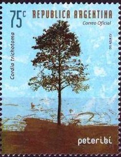 Colnect-2704-998-Ppetiribi-Cordia-trichotoma.jpg