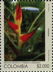 Colnect-1701-329-Heliconia-orthotricha.jpg