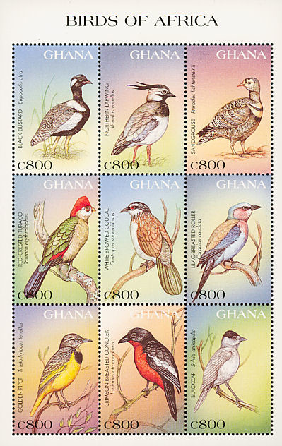 Colnect-1718-852-Birds-of-Africa---Mini-Sheet-of-9-Stamps.jpg