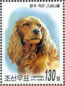 Colnect-3102-391-Cocker-Spaniel-Canis-lupus-familiaris.jpg