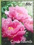 Colnect-4071-207-Pink-peonies-Paeonia-suffruticosa.jpg