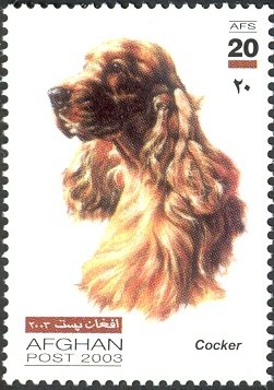 Colnect-543-719-Cocker-spaniel-Canis-lupus-familiaris.jpg