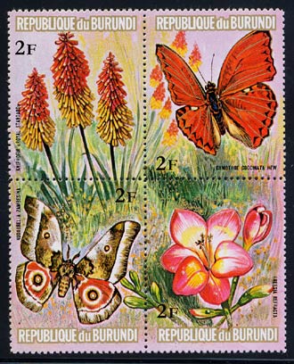 Skap-burundi_04_butterflies-flower_02f-436_blk.jpg