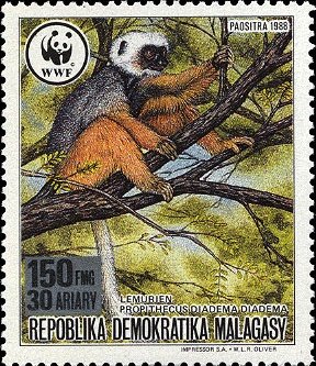 Colnect-4411-805-Diademed-Sifaka-Propithecus-diadema.jpg