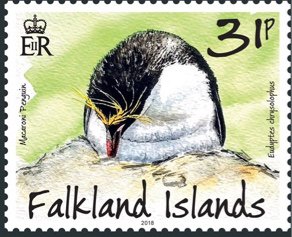 Colnect-4890-352-Wildlife-of-the-Falklands.jpg