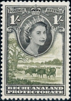 Colnect-2019-958-Queen-Elizabeth-II-Cattle-Bos-primigenius-taurus.jpg