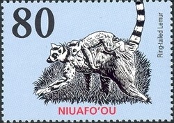 Colnect-1538-325-Ring-tailed-Lemur-Lemur-catta.jpg