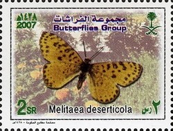 Colnect-1729-733-Desert-Fritillary-Melitaea-deserticola.jpg