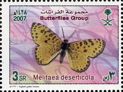 Colnect-1729-743-Desert-Fritillary-Melitaea-deserticola.jpg