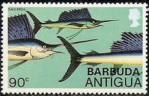 Colnect-1906-911-Atlantic-Sailfish-Istiophorus-albicans.jpg