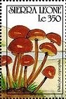 Colnect-3782-124-Psilocybe-coprophila.jpg