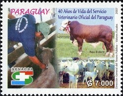 Colnect-1708-047-Cattle-Bos-primigenius-taurus-Veterinarian.jpg