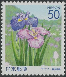 Colnect-3958-857-Iris---Ijimino-Park---Kaetsu-area.jpg