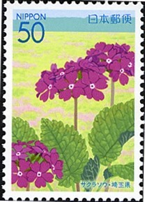 Colnect-899-582-Primrose-and-Tajimagahara-Native-Primrose-Field.jpg