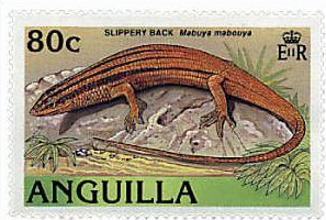 Colnect-1572-987-Greater-Martinique-Skink-Mabuya-mabouya.jpg