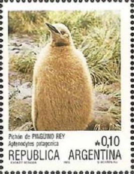 Colnect-1632-420-King-Penguin-Aptenodytes-patagonica.jpg