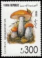 Colnect-1939-417-Leccinum-testaceoscabrum.jpg