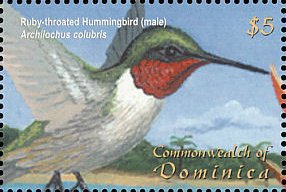 Colnect-3254-642-Ruby-throated-Hummingbird-nbsp-Archilochus-colubris.jpg