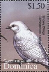 Colnect-3262-610-Snowy-Cotinga-Carpodectes-nitidus.jpg