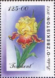 Colnect-197-293-Iris--Toshkent-.jpg