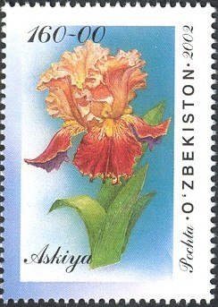 Colnect-2427-383-Irises---Askiya.jpg