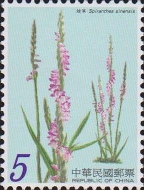 Colnect-3006-304-Spiranthes-sinensis.jpg