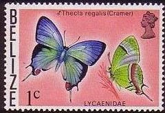 Colnect-455-110-Regal-Hairstreak-Thecla-regalis.jpg