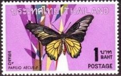 Colnect-484-218-Golden-Birdwing-Troides-aeacus.jpg