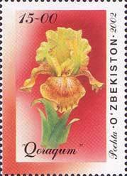 Colnect-824-022-Iris--Qoraqum-.jpg