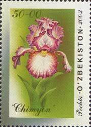 Colnect-824-025-Iris--Chimyon-.jpg