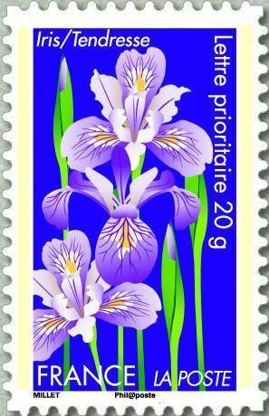 Colnect-999-096-Iris--Tendresse.jpg