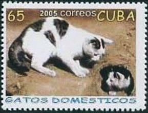 Colnect-1487-354-Domestic-Cat-Felis-silvestris-catus-on-Drainpipe.jpg