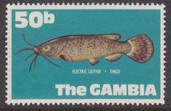 Colnect-1653-536-Electric-Catfish-Malapterurus-electricus-.jpg