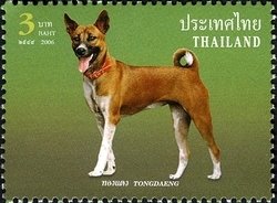 Colnect-1668-079-Khun-Tongdaeng-Canis-lupus-familiaris-the-Kings-Dog.jpg