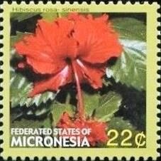 Colnect-5661-744-Hibiscus-rosa-sinensis.jpg