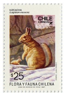 Colnect-673-903-Southern-Viscacha-Lagidium-viscalia.jpg